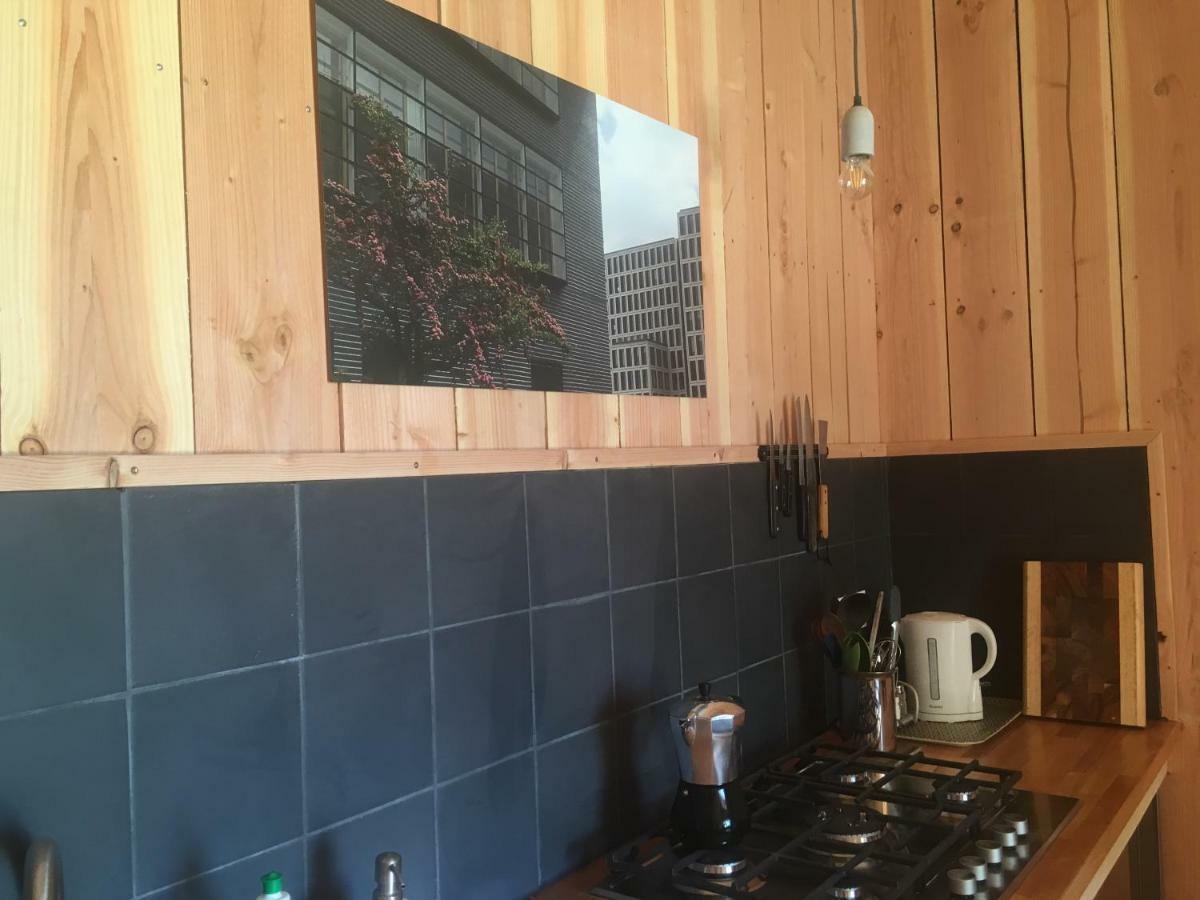 Les Foucauds Hotel Saint-Quentin-de-Caplong Kültér fotó